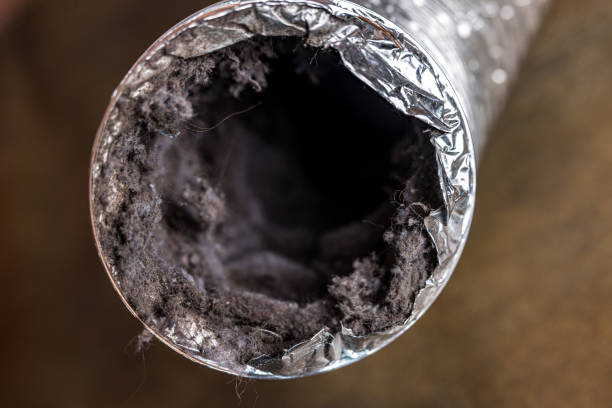 Best Duct Cleaning for Offices  in Sunnyside, GA